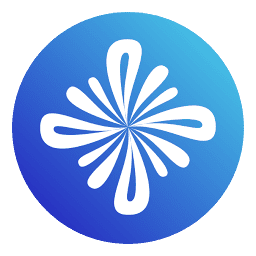 Saleswise logo